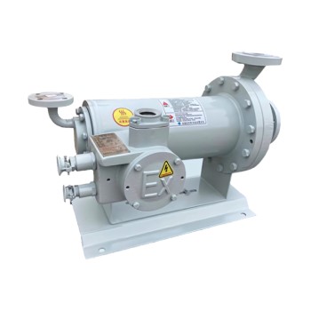 Reverse Circulation Type Pump